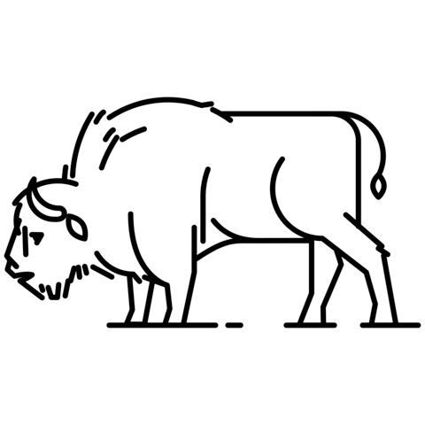 European Bison Coloring Page